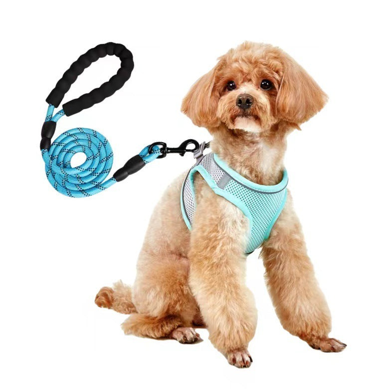 Dog Leash