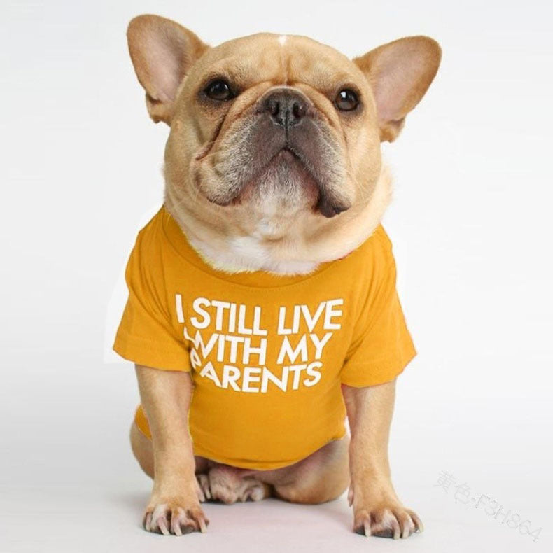 Dog T-shirt