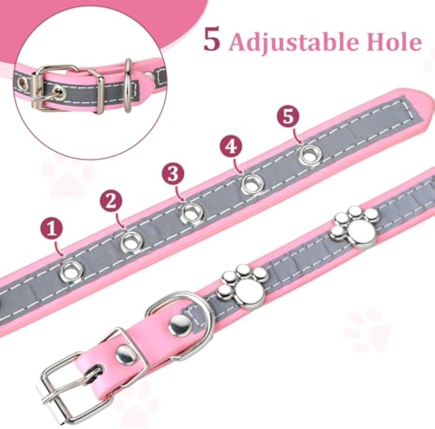 Dog Collar
