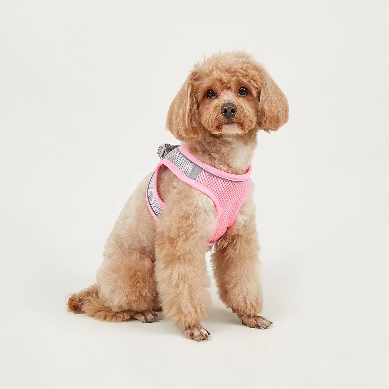 Dog Leash