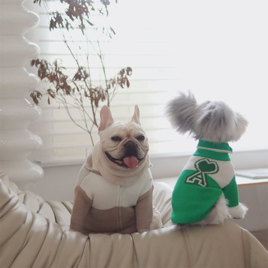 Dog Jacket
