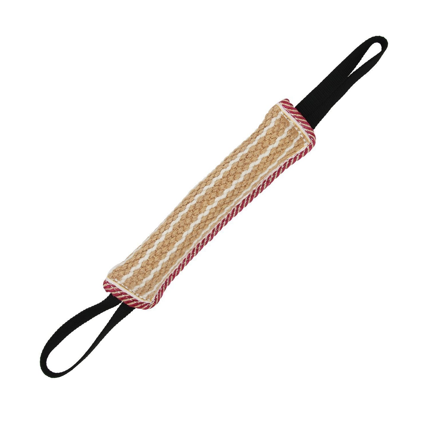 Biting Dog Training Professional