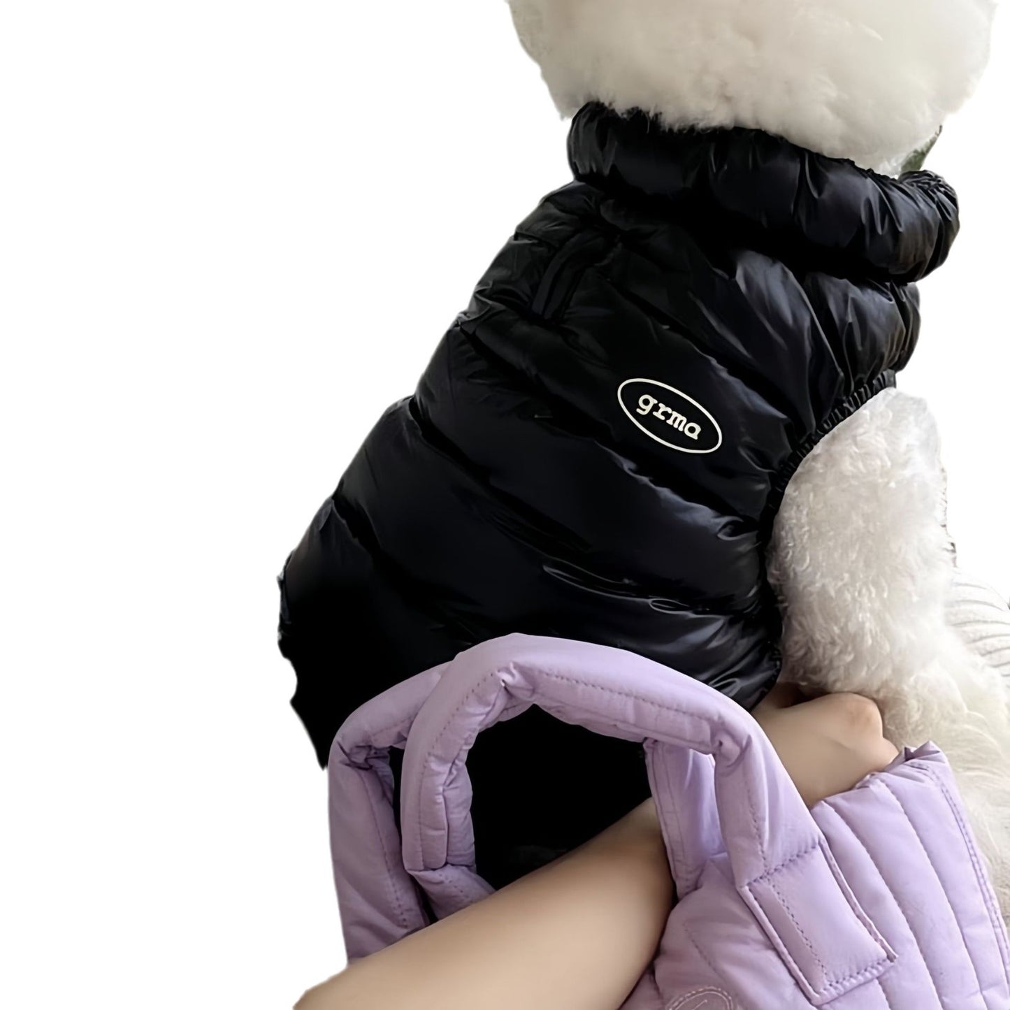 Winter Dog clothes