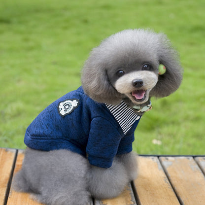 Dog hoodie