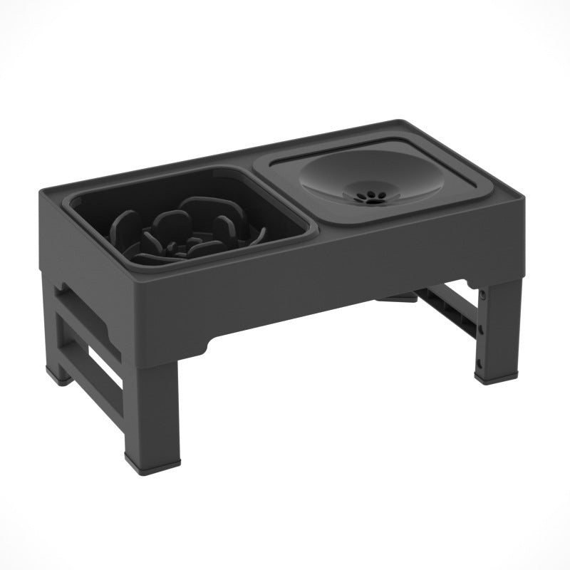 Dog Bowl