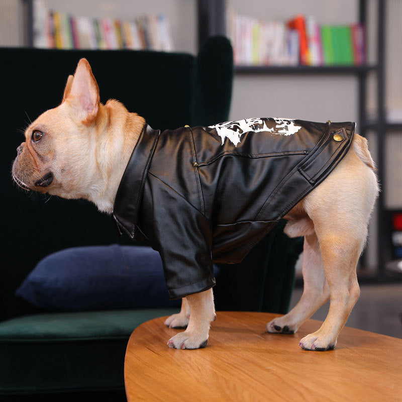 Dog clothes