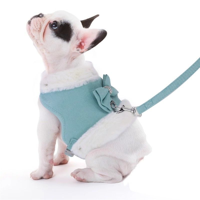 Dog Harness And Leash Set