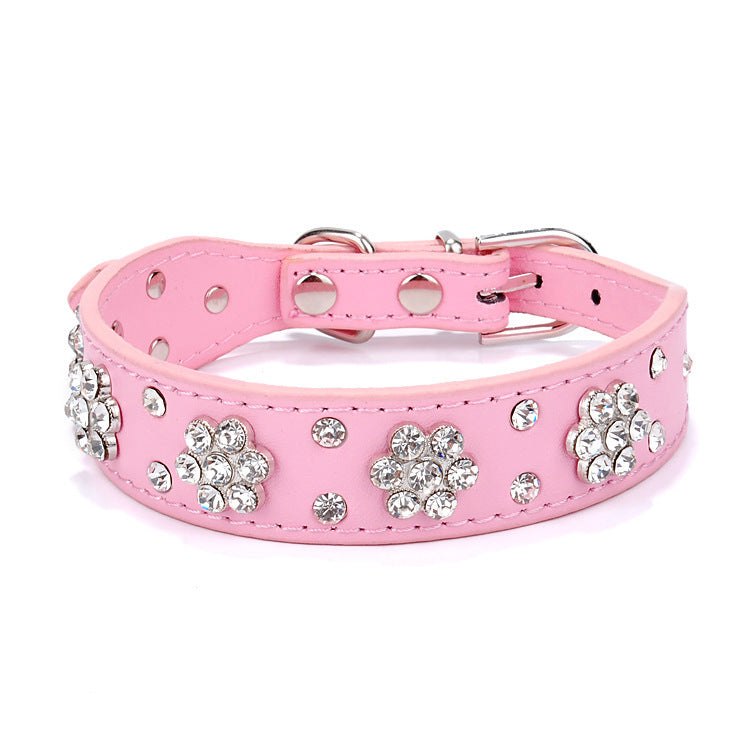 Dog Collar