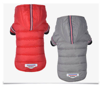 Dog clothes