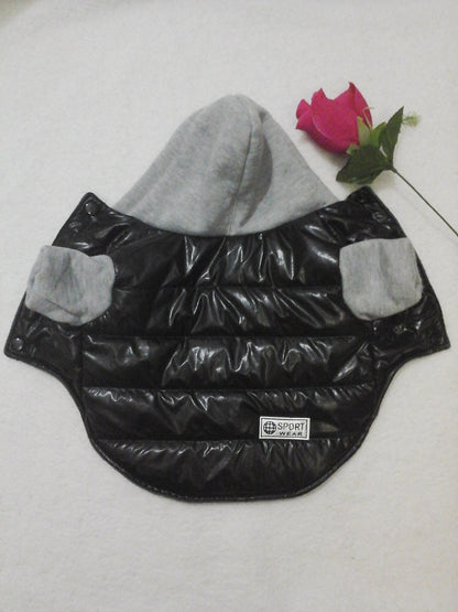 Dog clothes