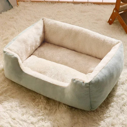 dog bed