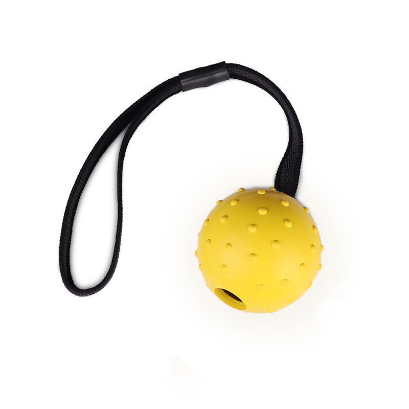 Dog Training Toy Ball