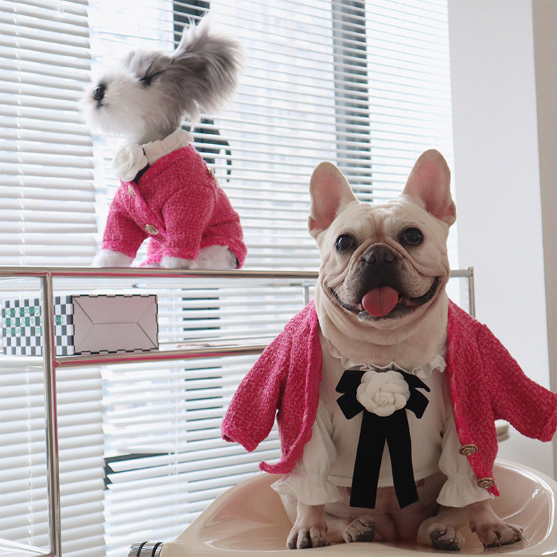 Dog Clothing