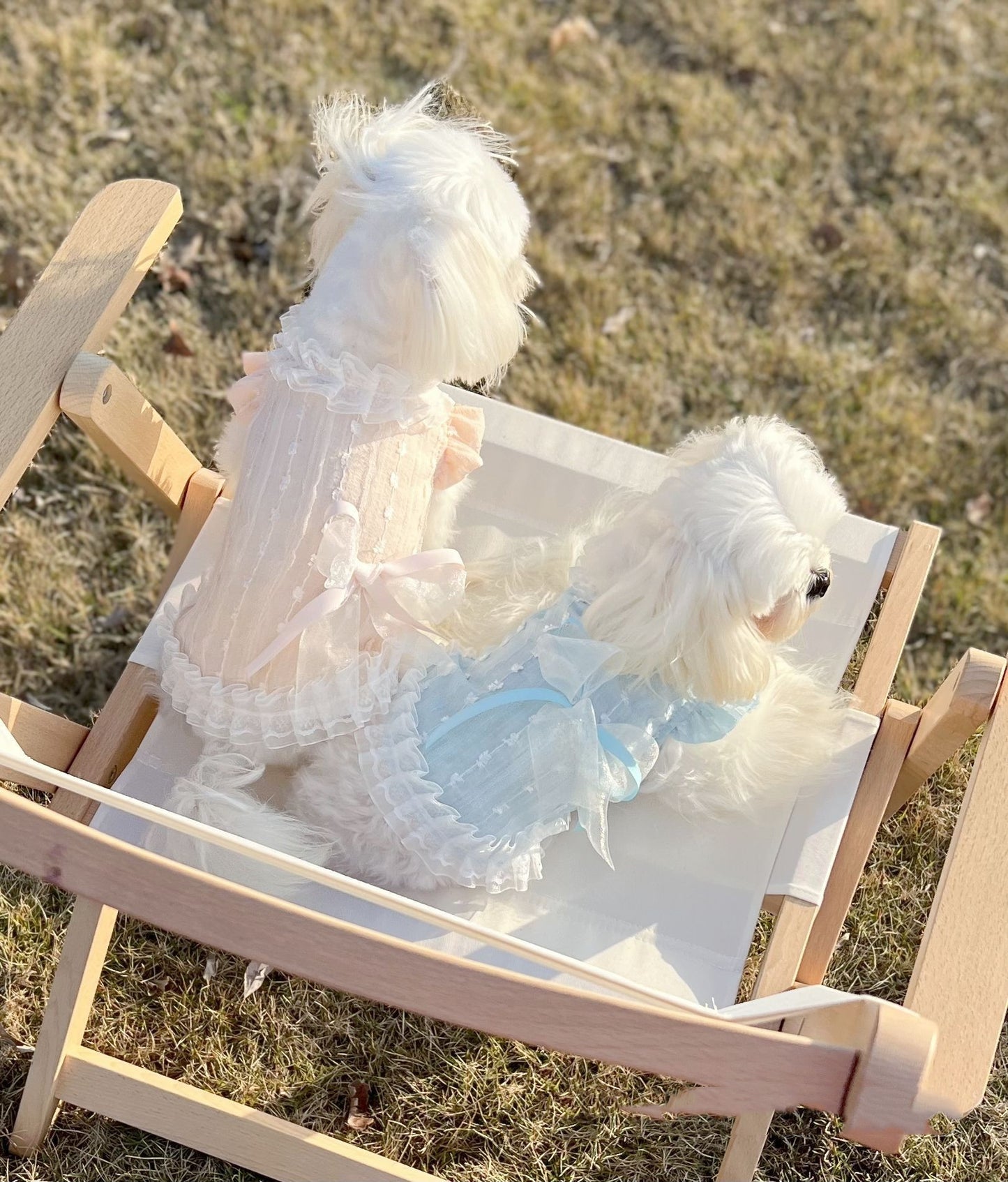 Chiffon Lace Bow Princess Dress Pet