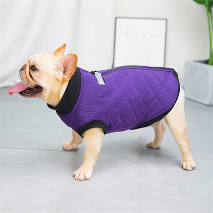 Dog Clothes