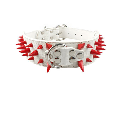 Dog Antibite Collar