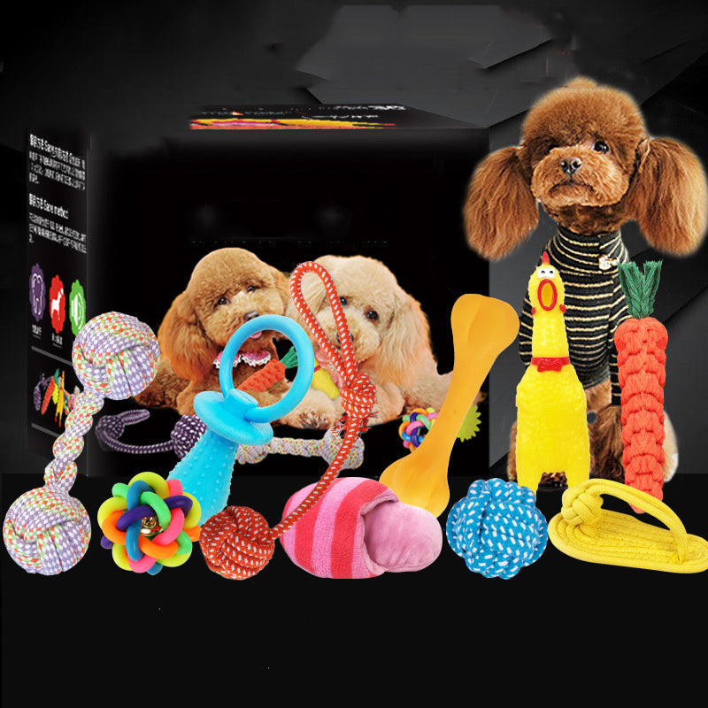 dog toy