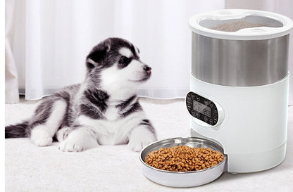 Dog Food Automatic Dispenser