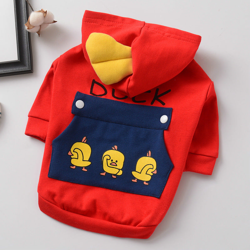 dog clothes
