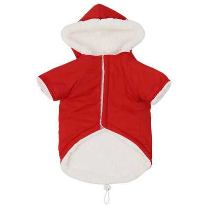 Dog clothes