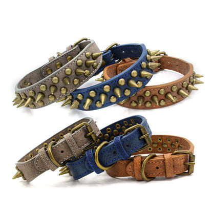 Dog Collar