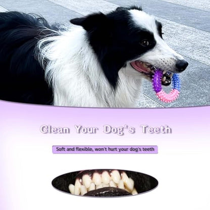 Dog Chew Toy