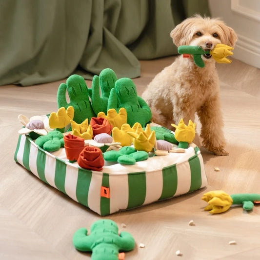 Dog Educational Toys