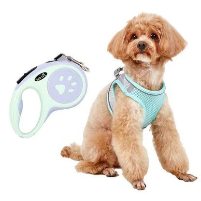 Dog Leash