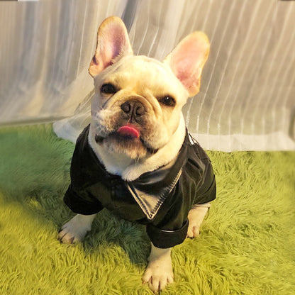 Dog clothes