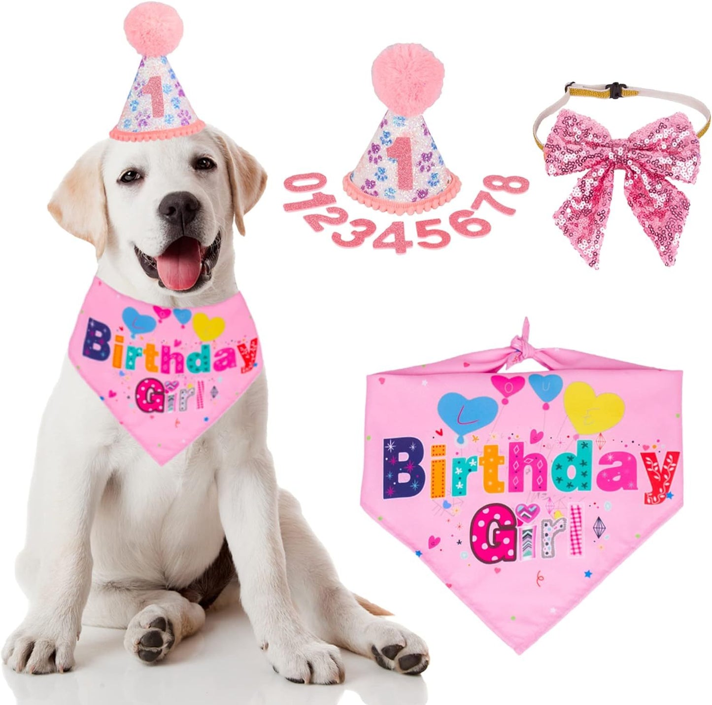 Dog Birthday Party