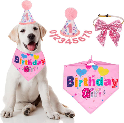 Dog Birthday Party
