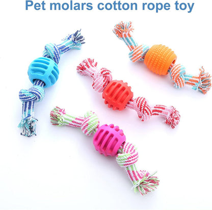 Dog Toy