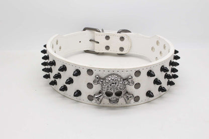 Dog Collar