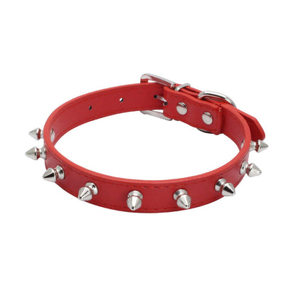 Dog Leash