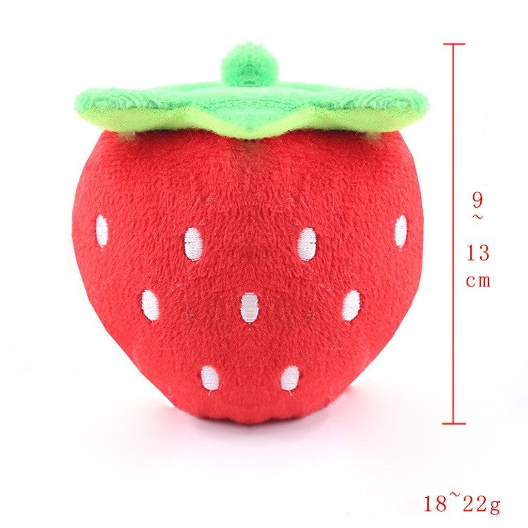 dog toy