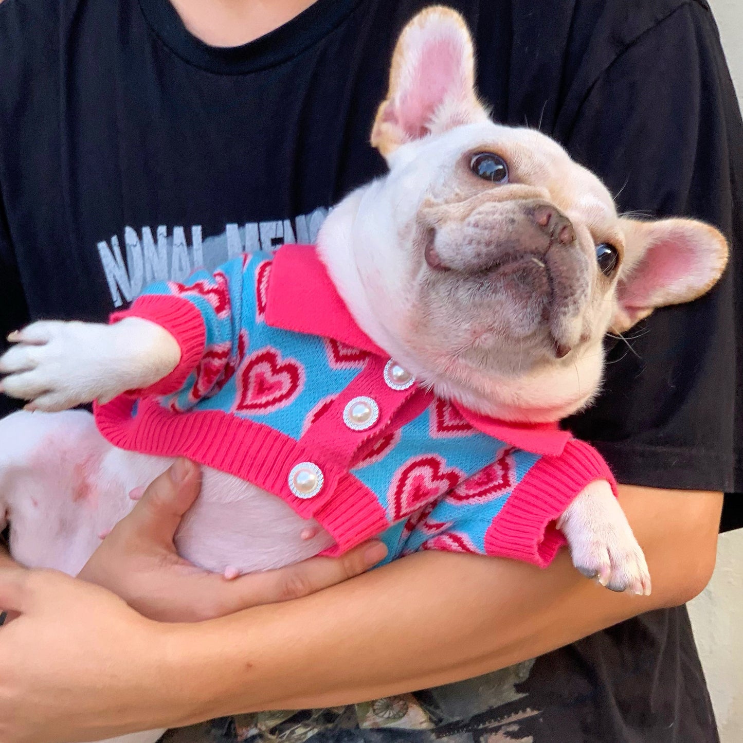 Dog Sweater