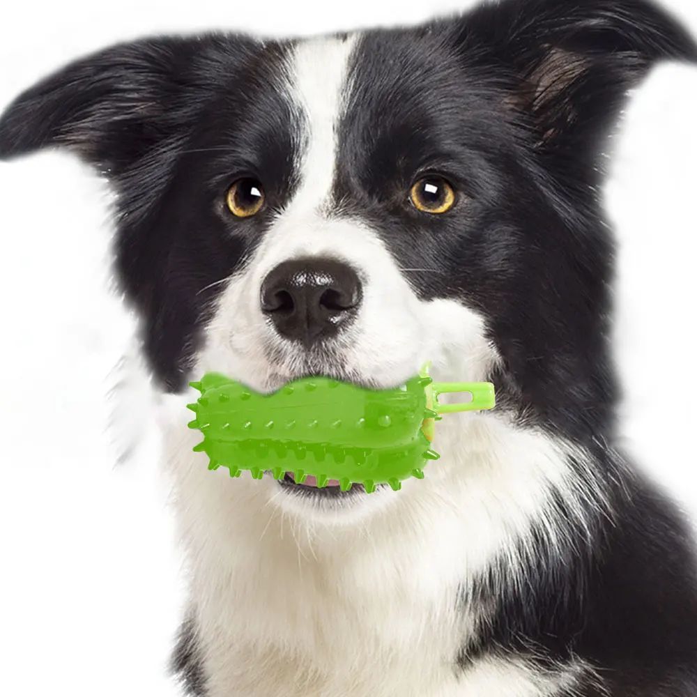Dog Teething Toy