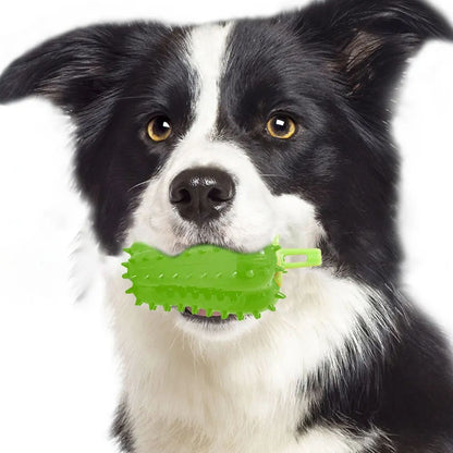 Dog Teething Toy