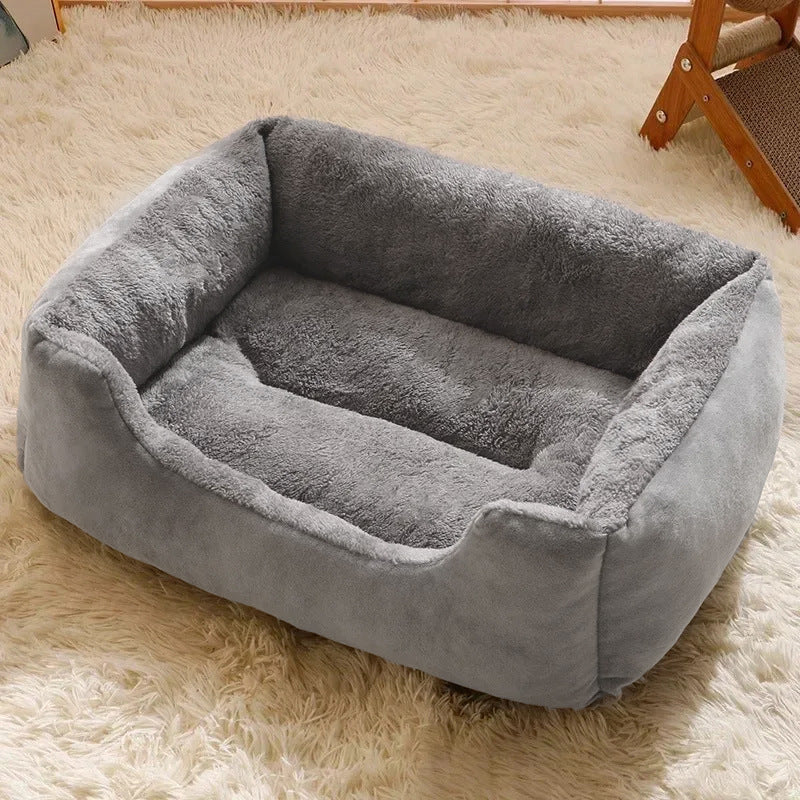 dog bed