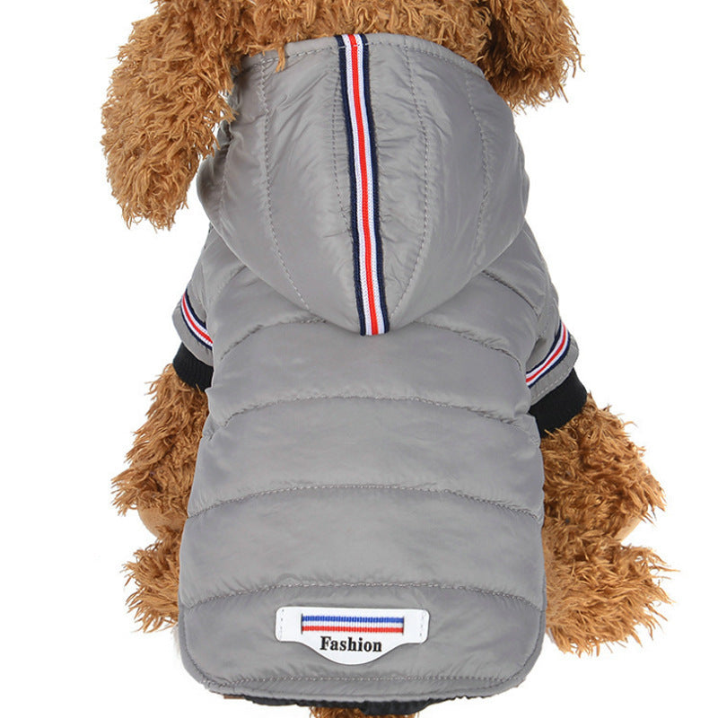dog jacket