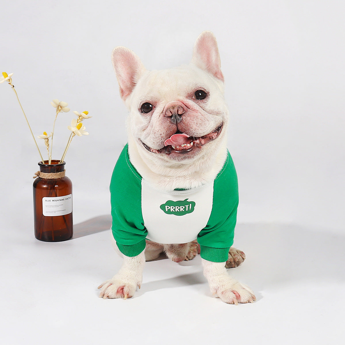 Dog Clothes