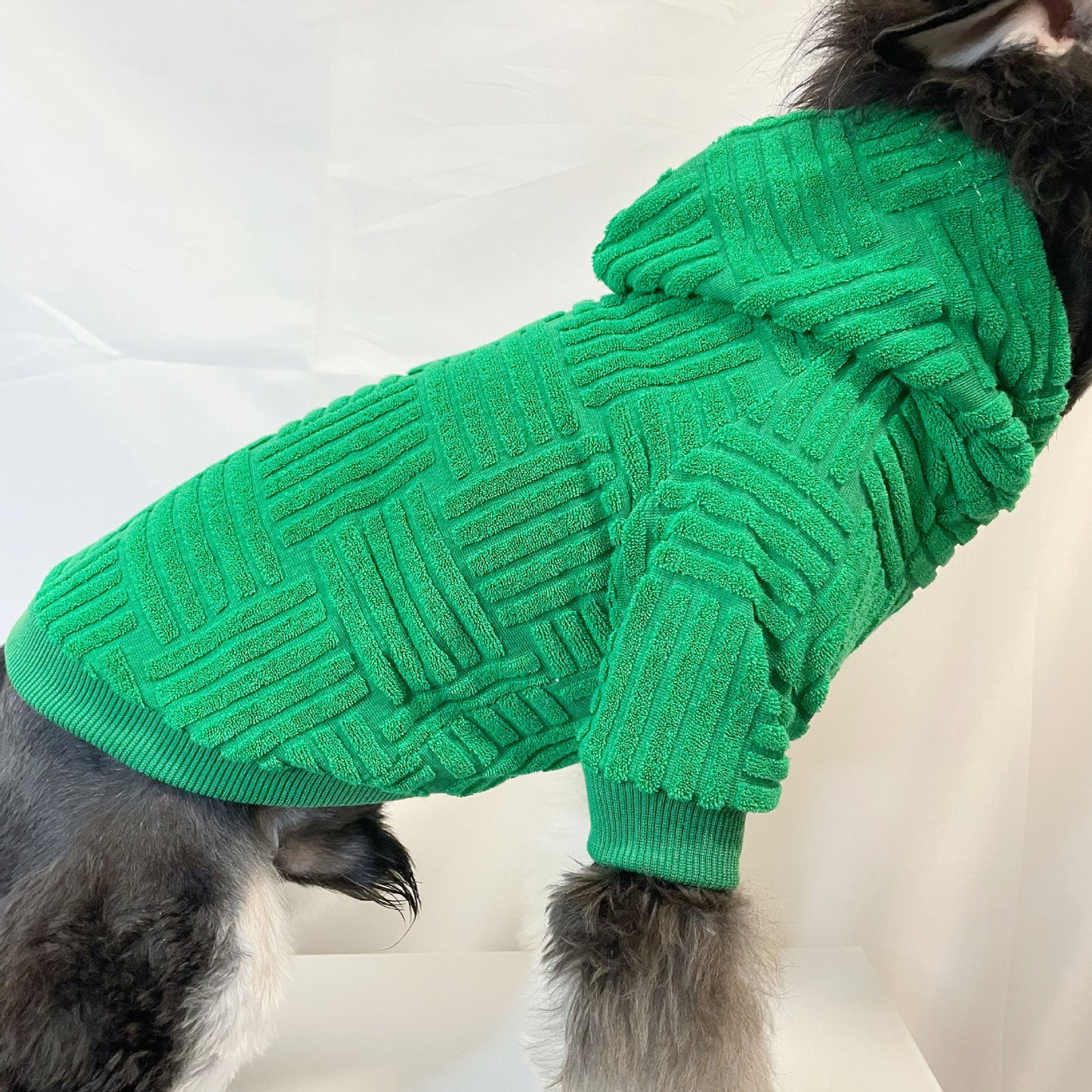 dog hoodie
