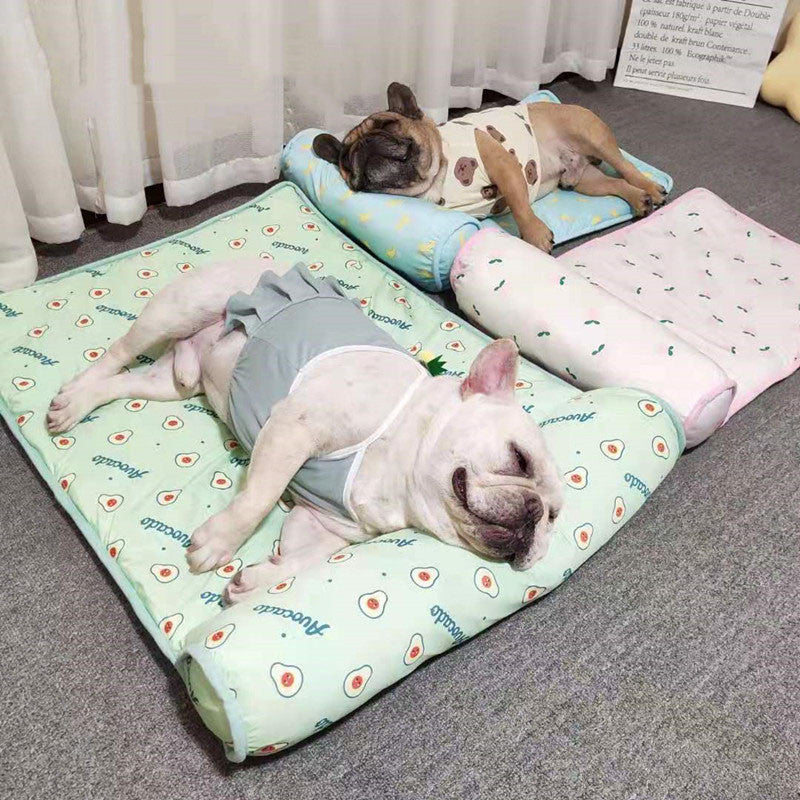 Dog Blanket