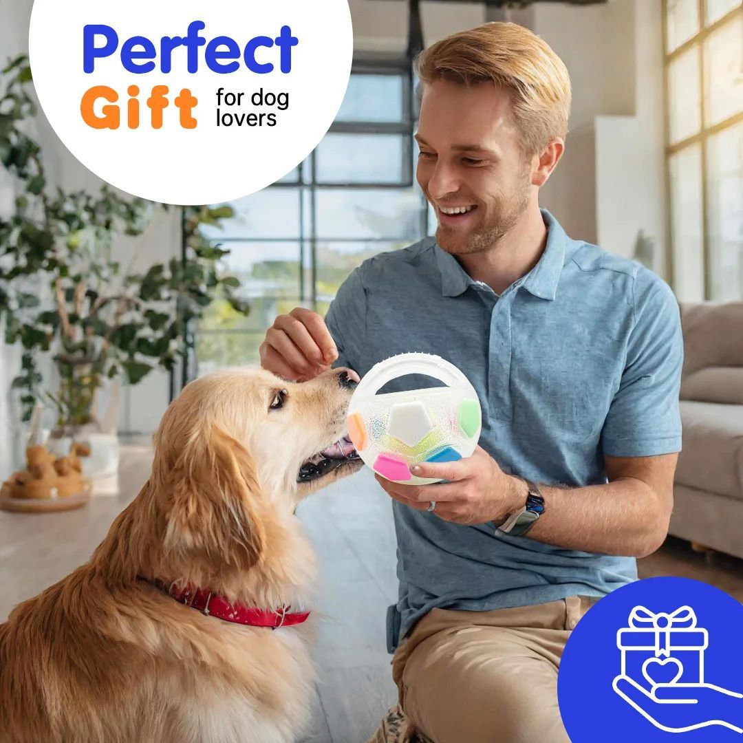 Tennis Ball Dog Toy