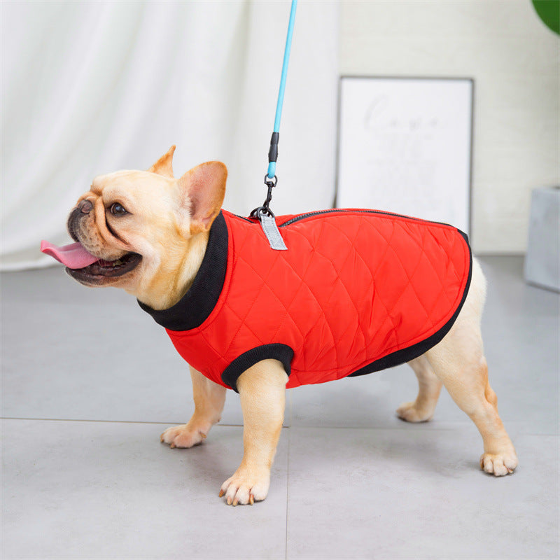 Dog Clothes