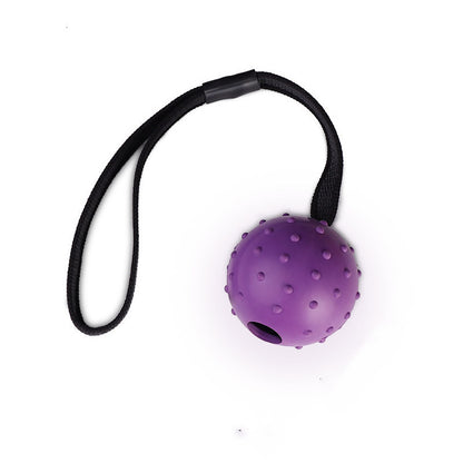 Dog Training Toy Ball