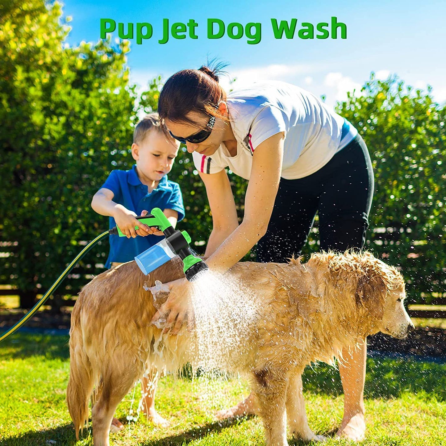Dog Wash Outdoor