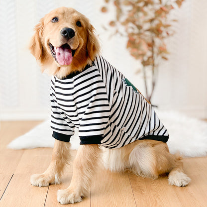 Dog Clothes