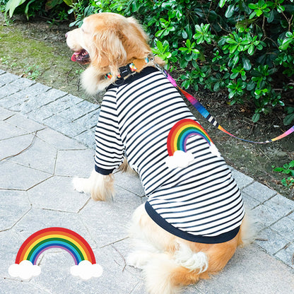 Dog Clothes