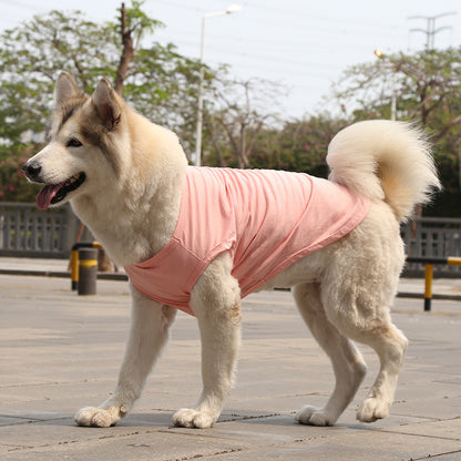 Dog Tshirt